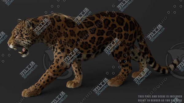 images/goods_img/20210312/3D Jaguar FUR RIGGED/3.jpg